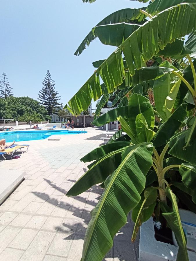 Summer Dream Теологос Екстер'єр фото